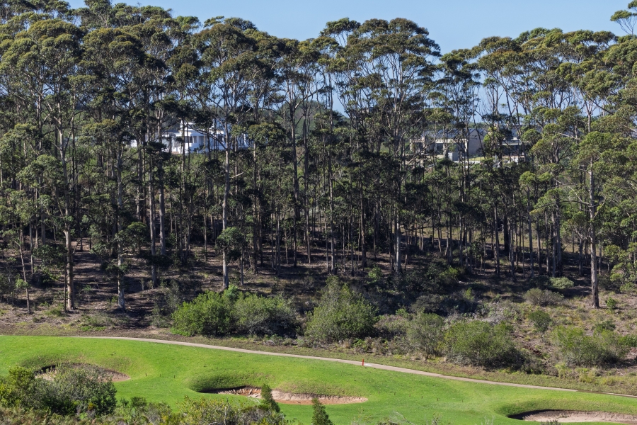 3 Bedroom Property for Sale in Pezula Golf Estate Western Cape